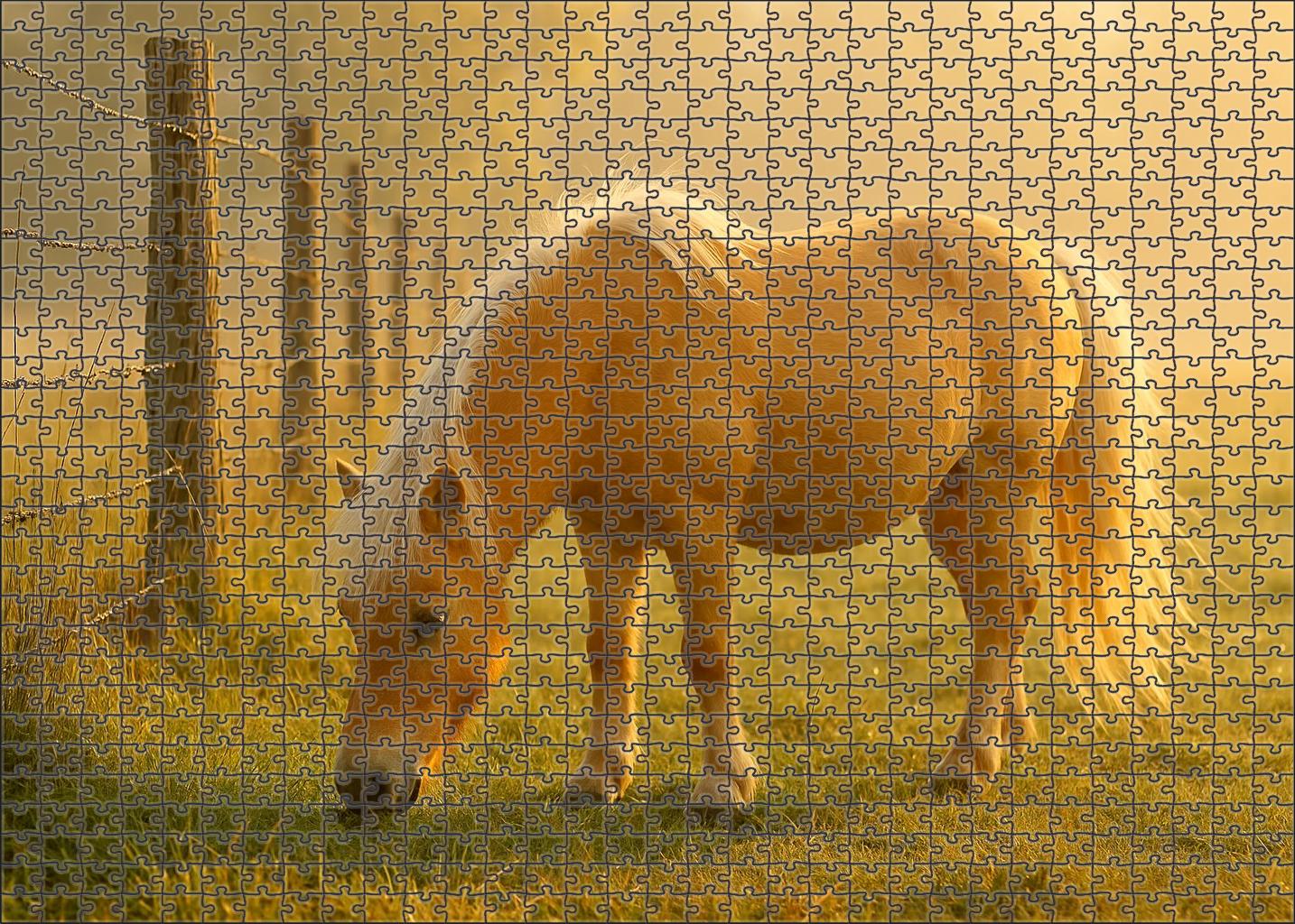 Misty Meadow Soft Palomino Pony With Endearing Temperament Puzzle For Kids