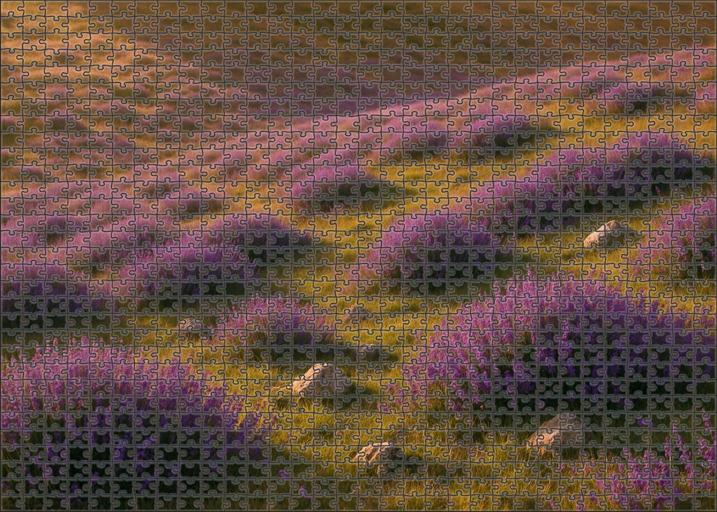 Lavender Hillside Glow Easy Puzzles