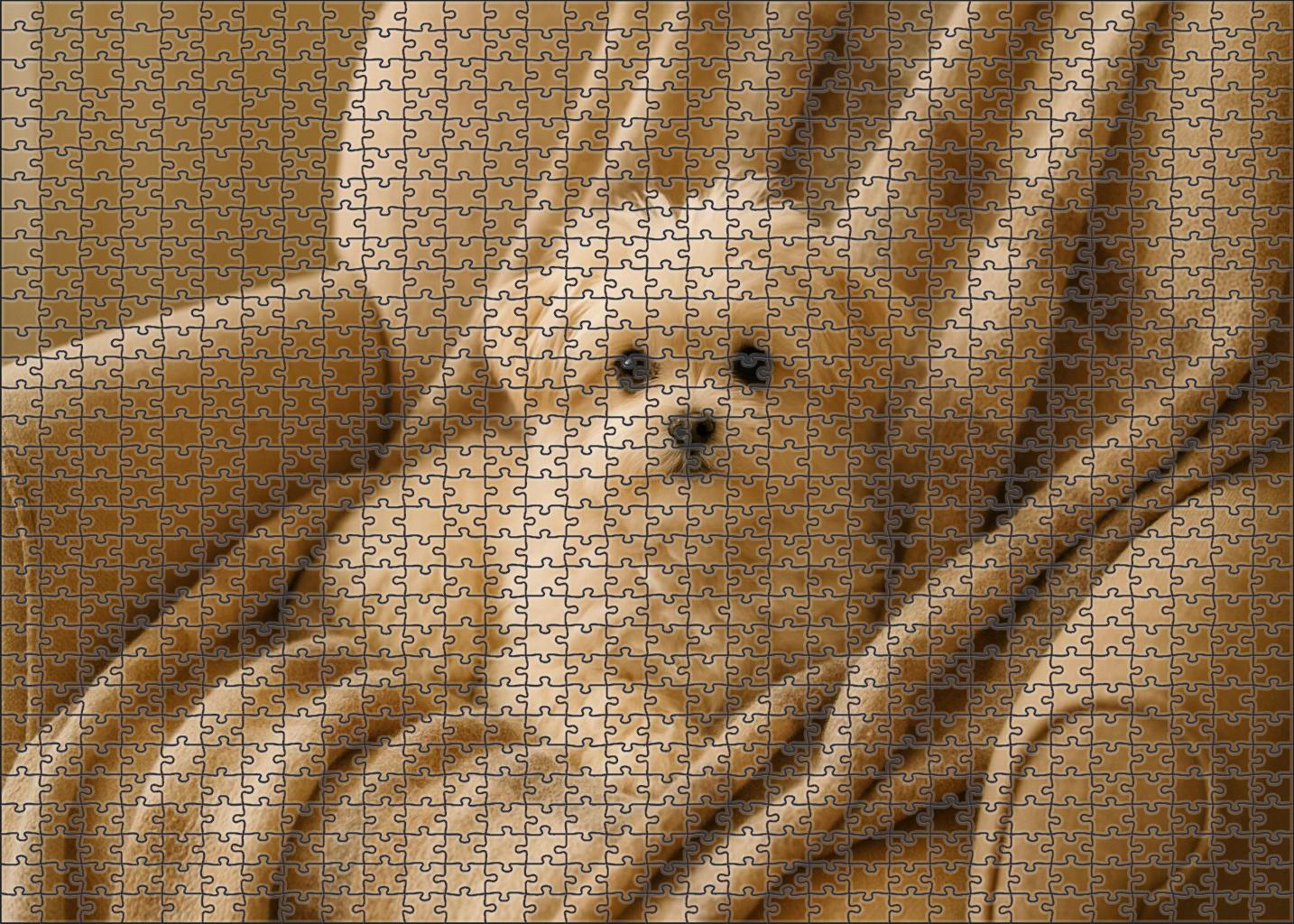 Cream Whisper Family Puzzles