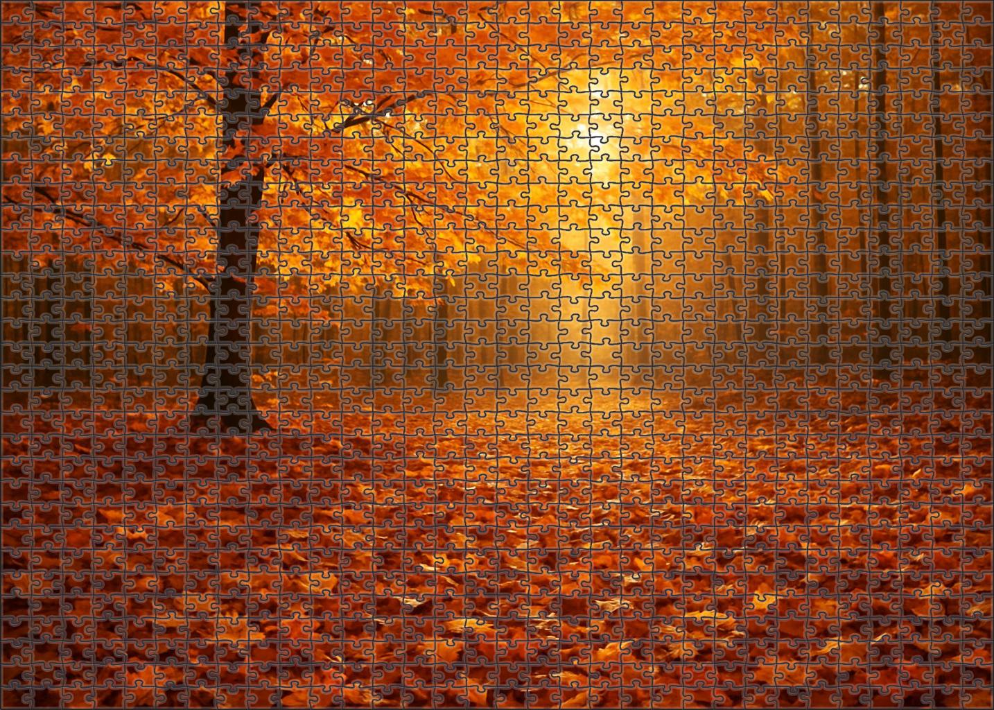 Golden Autumn Meadowwood Puzzle Collection