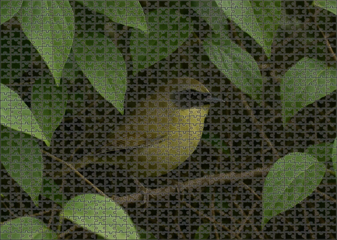 Mourning Warbler Subtle Song In Dense Understory 300 Piece Puzzle