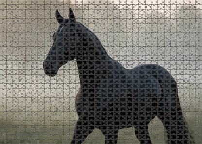 Obsidian Shadow Sleek Black Thoroughbred With Intense Presence 500 Piece Puzzle
