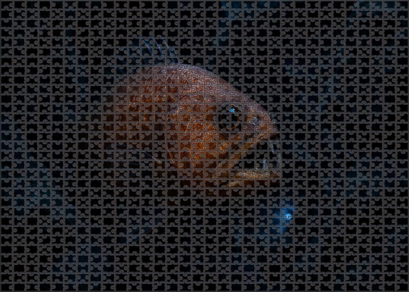 Amber Fangtooth Fish Deep-dwelling Abyssal Predator Family Puzzles