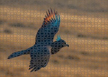 Aurora Crest Hawk Medium-sized Bird Of Prey With Iridescent Feathering And Keen Eyesight Puzzle Fun