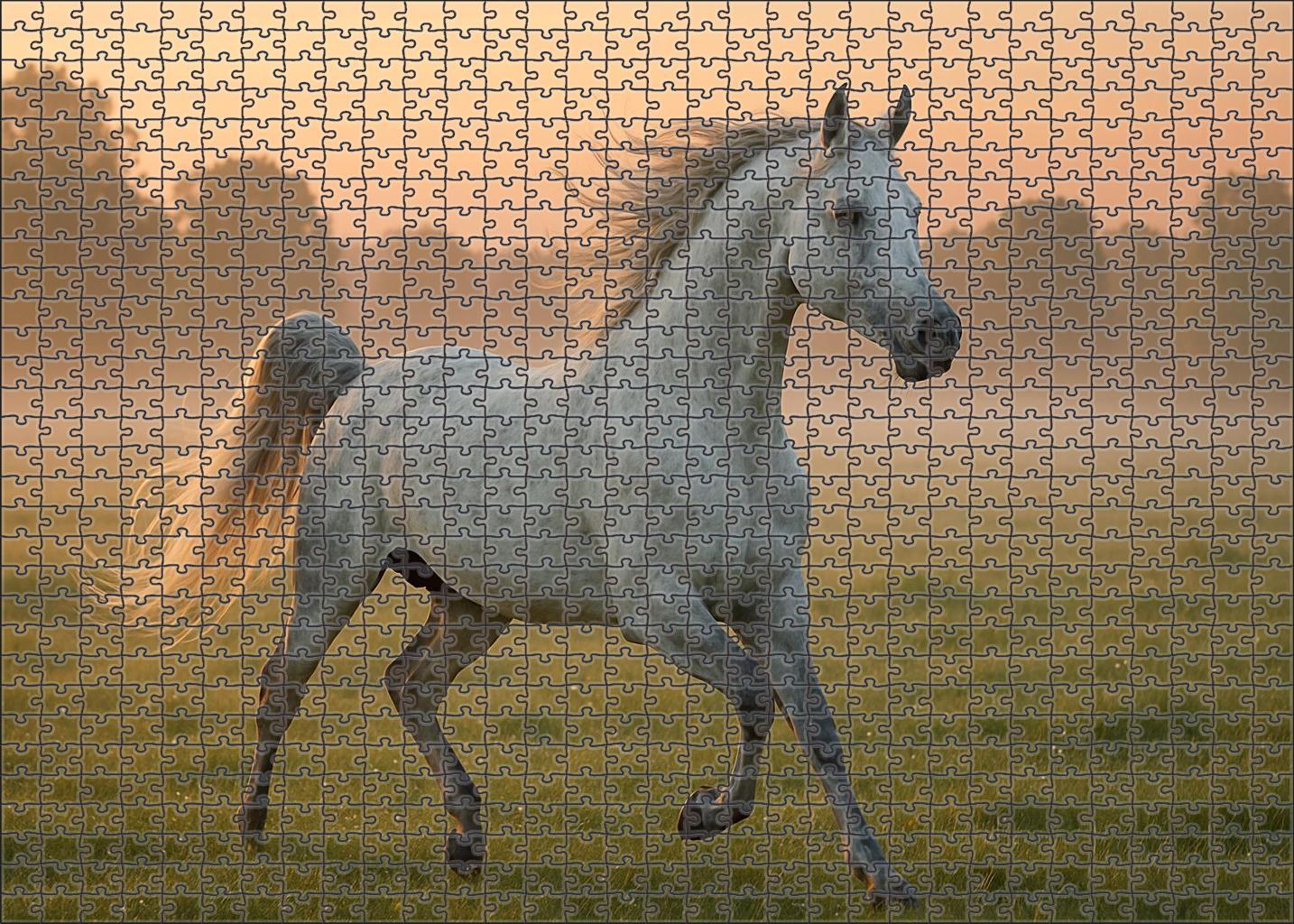 Silver Whisper Graceful Dapple Gray Arabian Stallion With Spirited Energy 50 Piece Puzzle