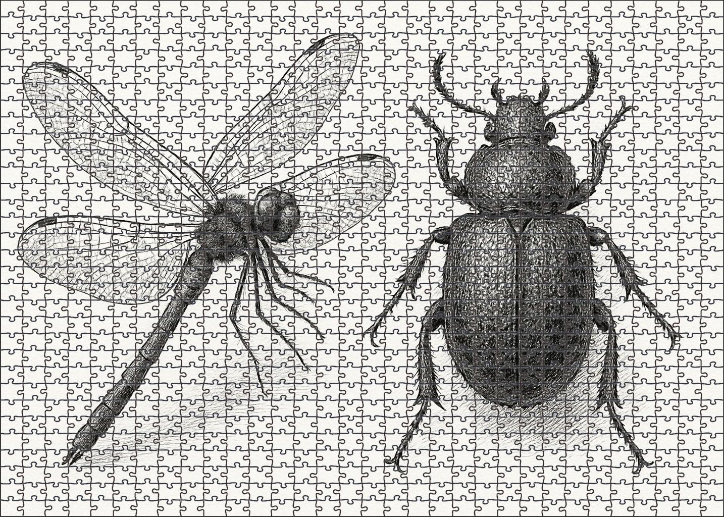 Whimsical Insect Anatomy Delicate Pen And Ink Linework Puzzle Challenge