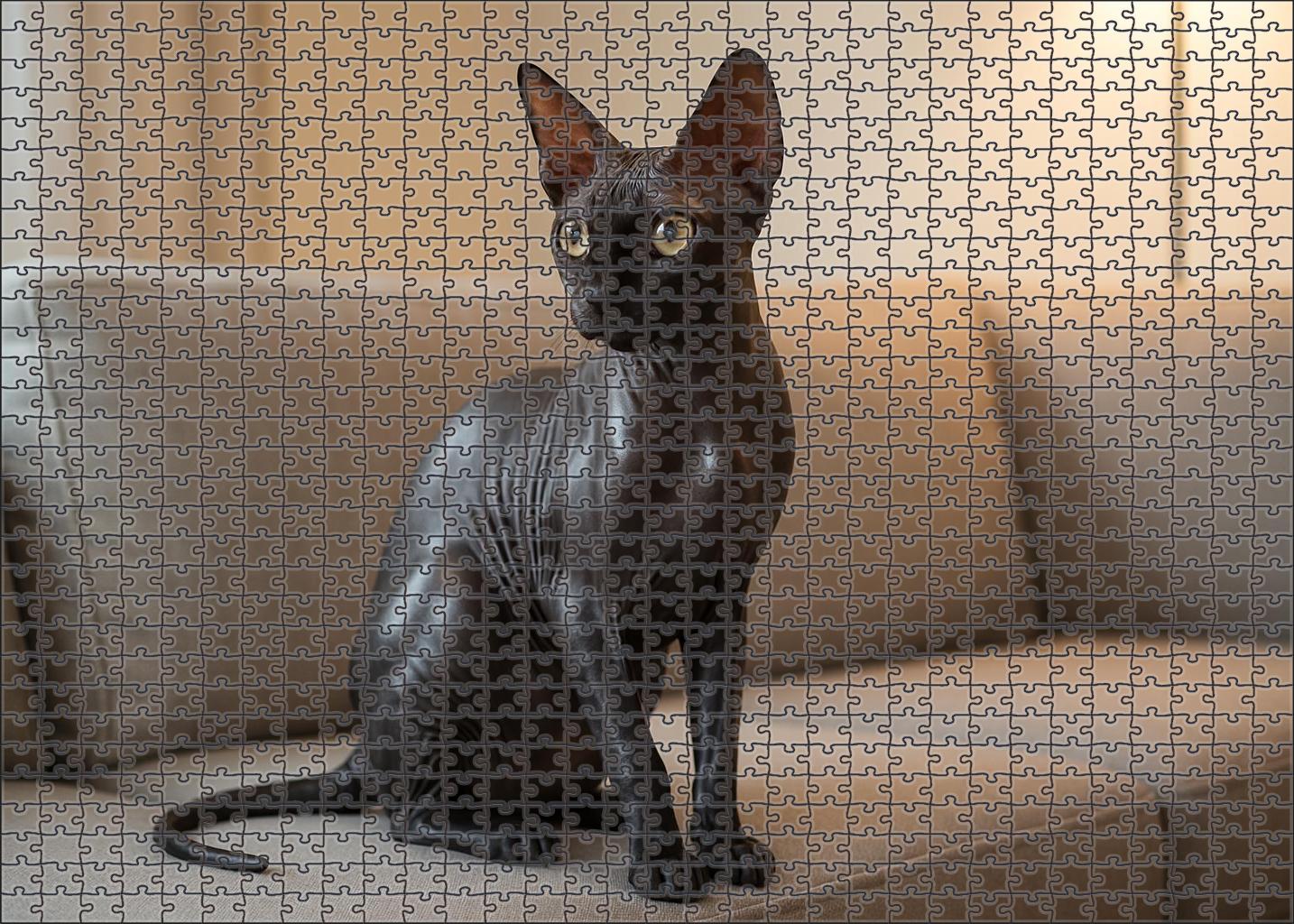 Onyx Gleam Sleek Hairless Cat With Playful Intelligence 200 Piece Puzzle