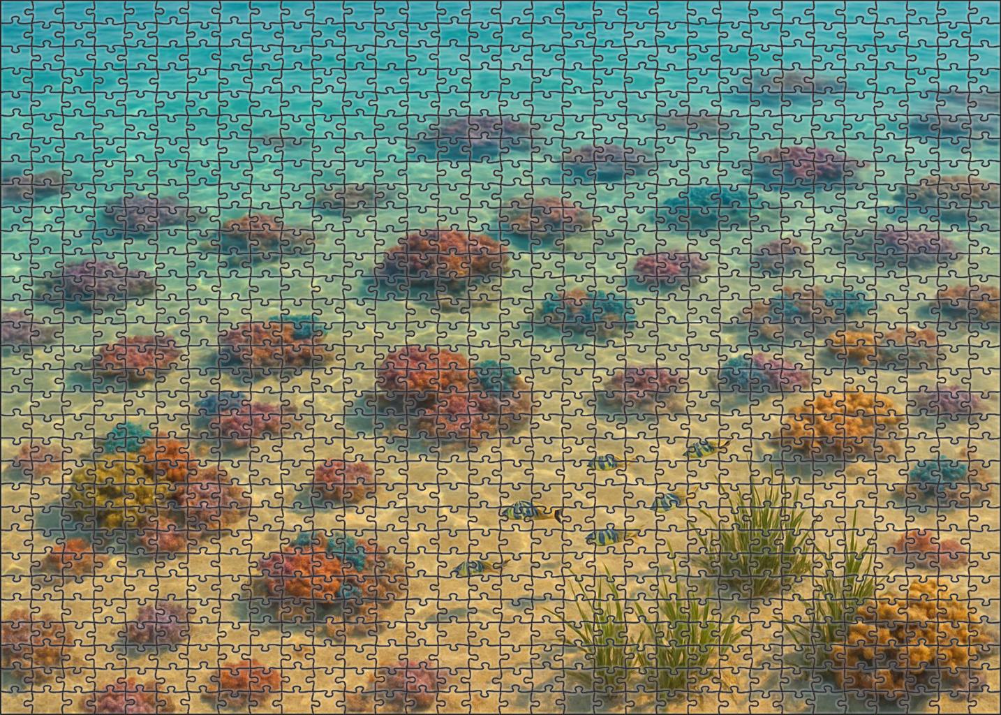 Golden Sunlit Shoals 100 Piece Puzzle