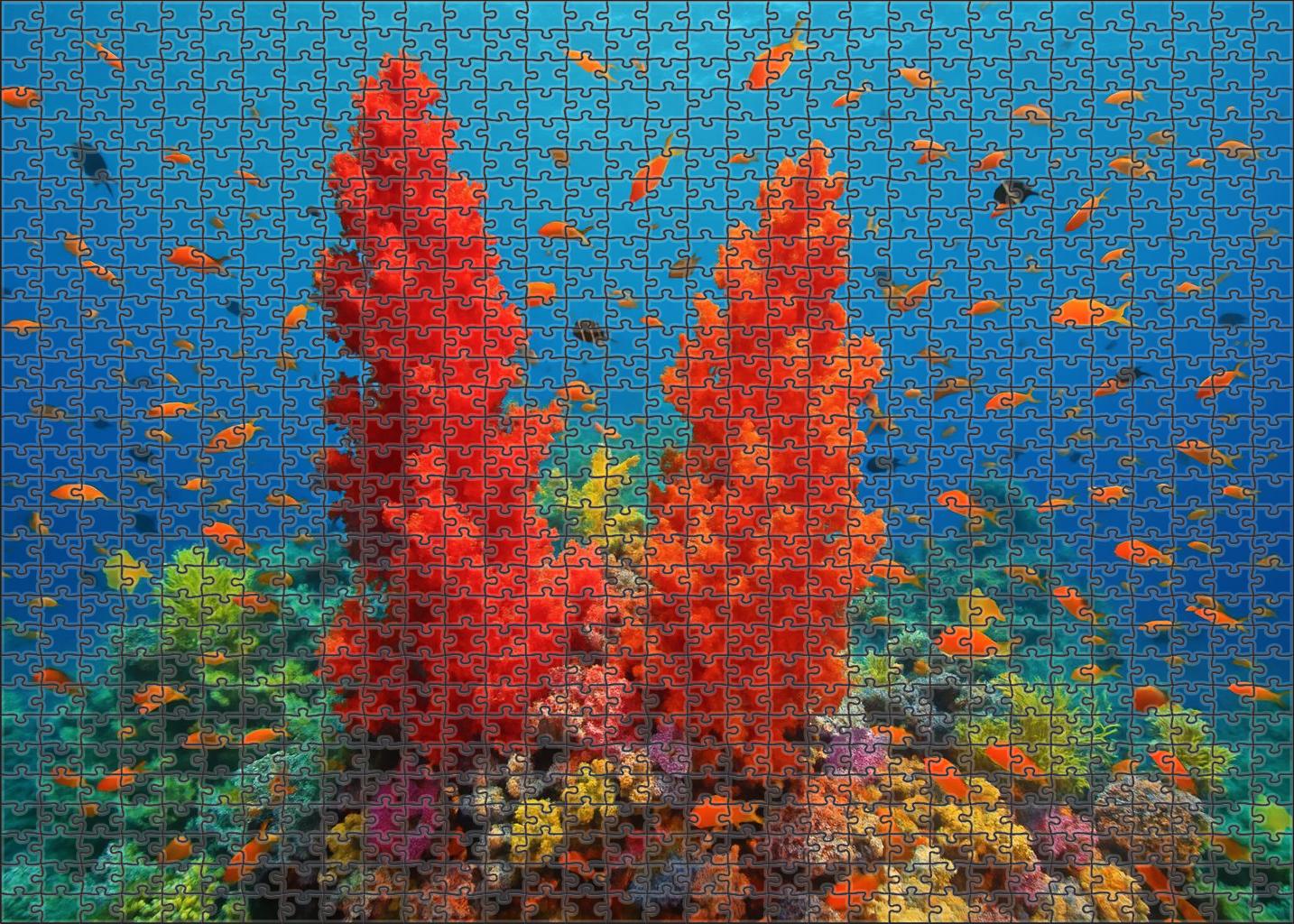 Crimson Coral Pinnacles Puzzle Challenge