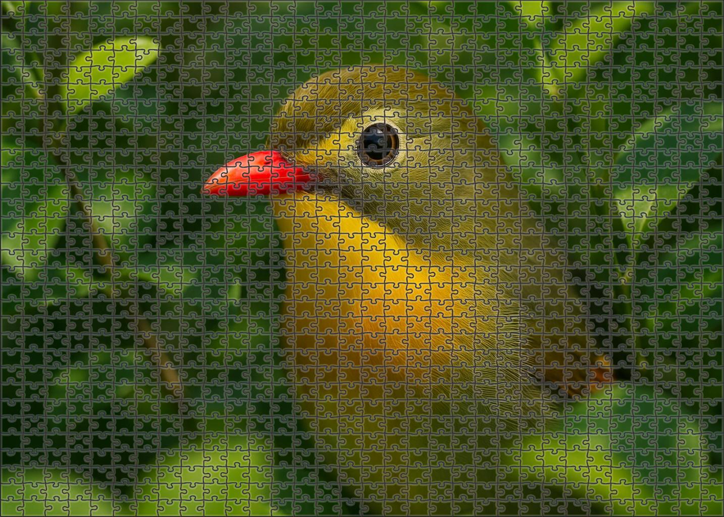 Red-billed Leiothrix Forest's Song Jewel Easy Puzzles