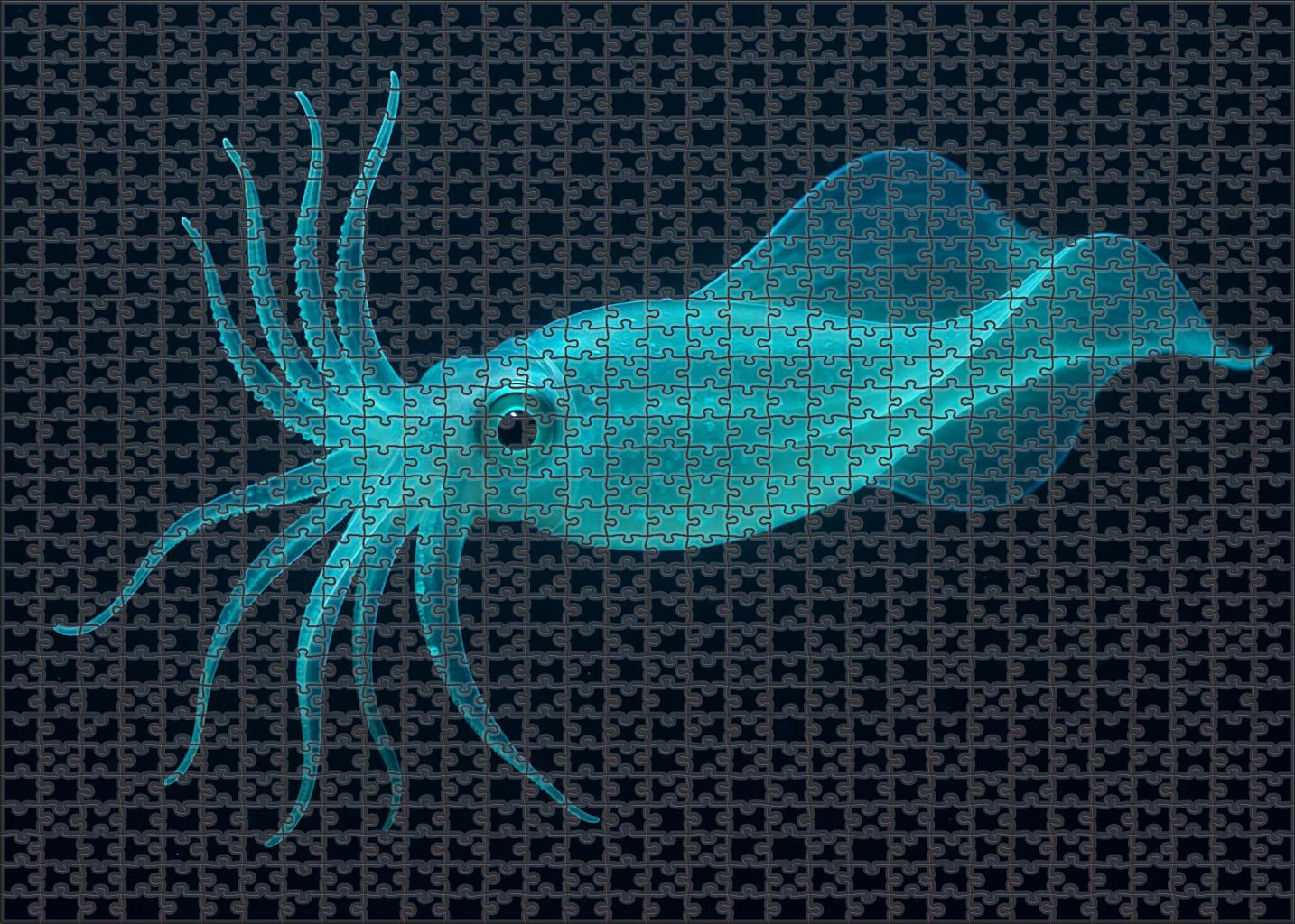 Opaline Ribbon Squid Sleek Cephalopod With Flowing Bioluminescent Stripes 300 Piece Puzzle