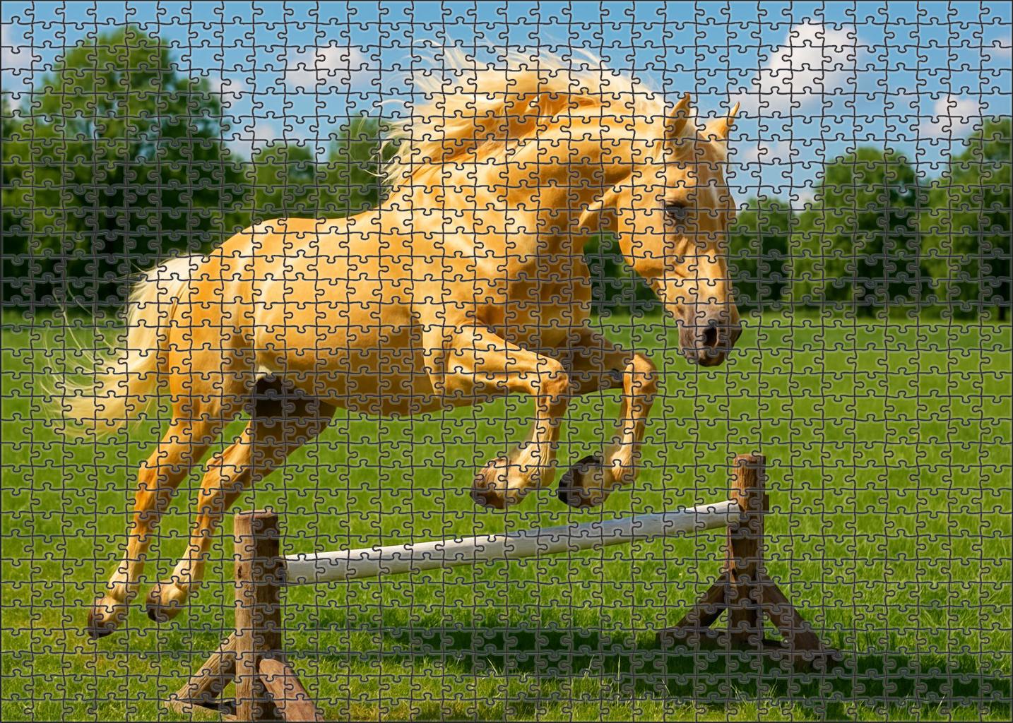 Sunfire Glimmer Sparkling Palomino Hunter Prospect Challenging Puzzles