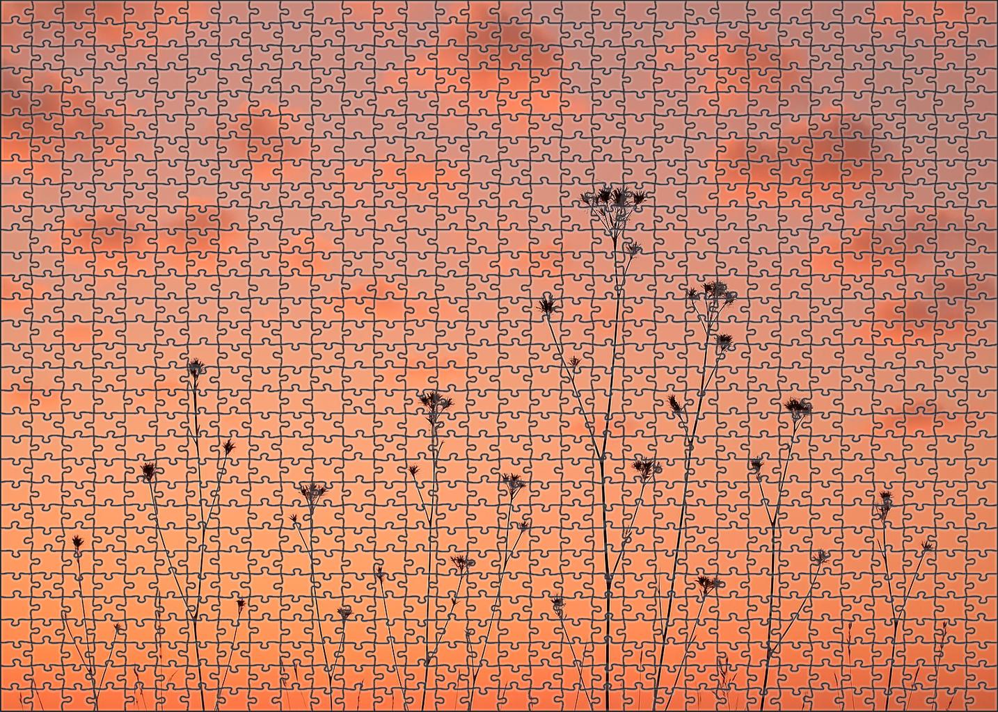 Coral Serenade Skies Puzzle For Kids