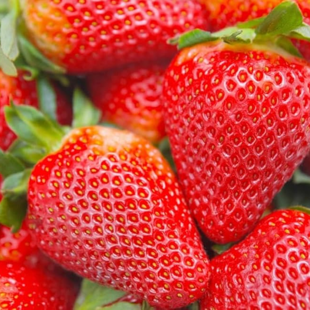 Red Climbing Strawberry Seeds 250Pcs