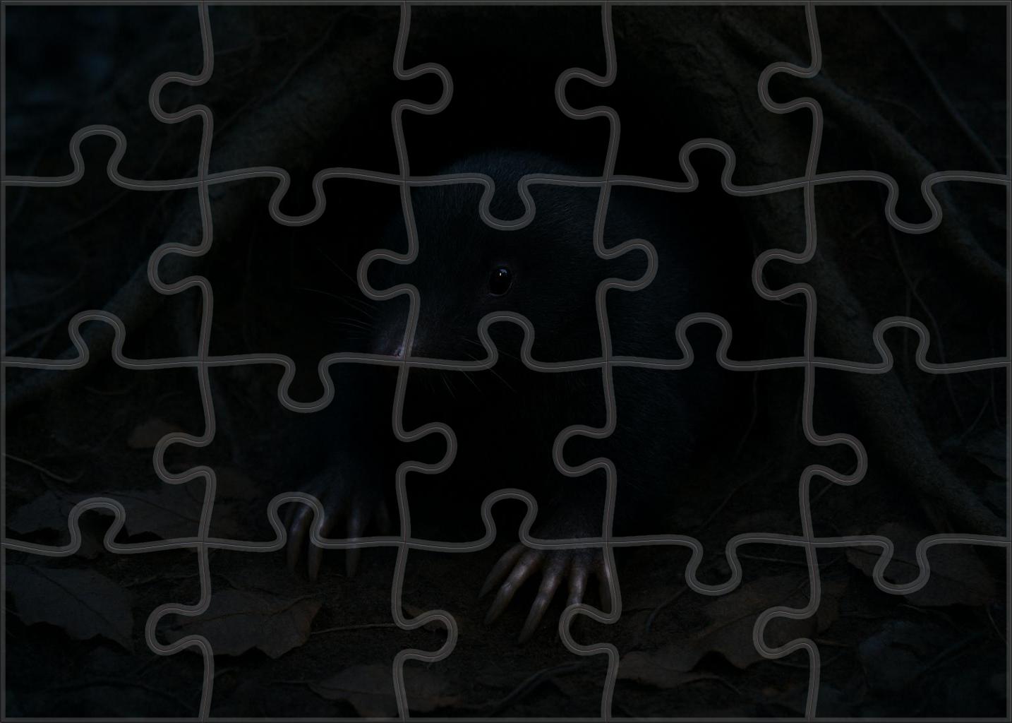 Obsidian Whisper Shadow-dwelling Burrower 50 Piece Puzzle