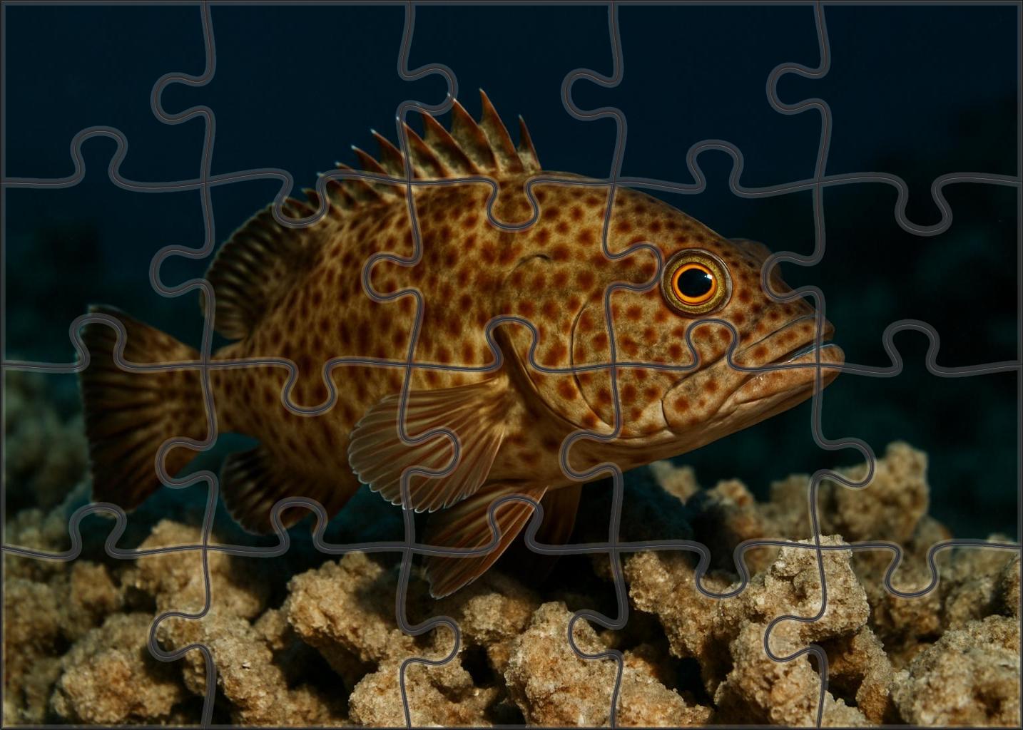 Bronze-spotted Reef Hawkfish Agile Perch With Patterned Body And Keen Eyes Mini Puzzle