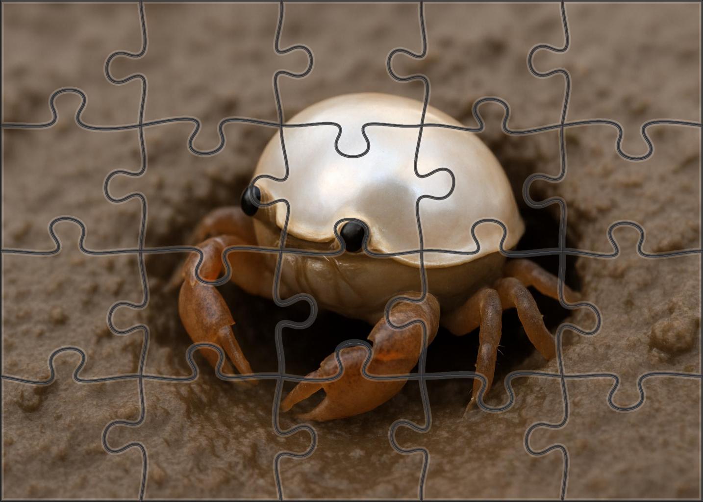 Pearlshell Crustacean Burrowing Scuttler With Shimmering Carapace 200 Piece Puzzle