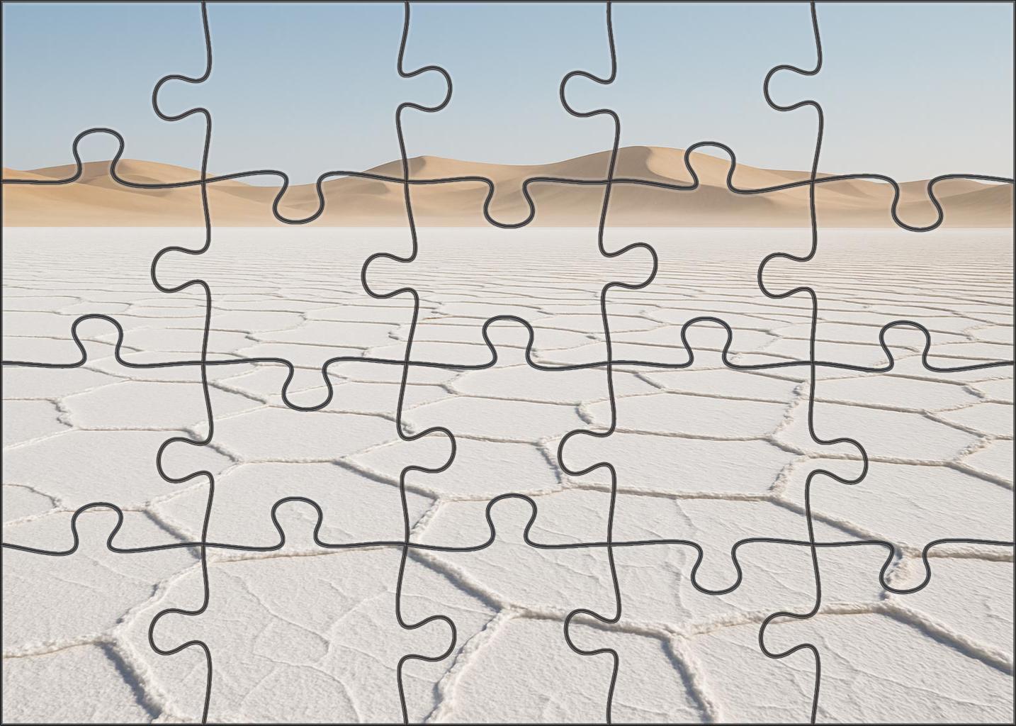Saltpan Solitude 300 Piece Puzzle