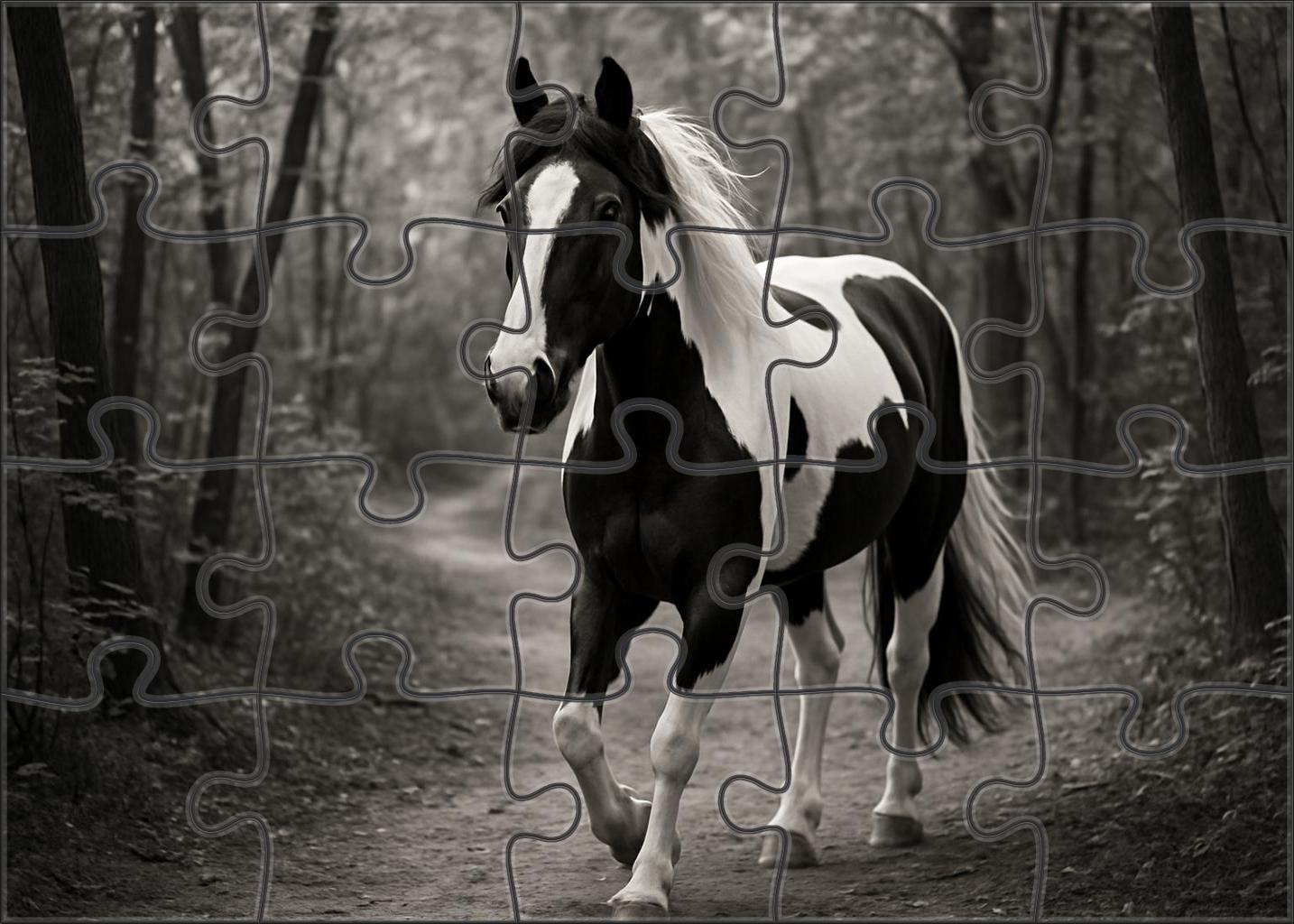 Shadow Veil Elegant Black And White Pinto Gaited Gelding 500 Piece Puzzle
