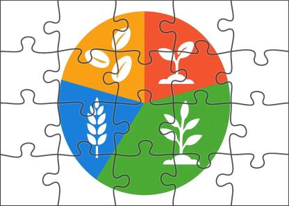 Agricultural Crop Rotation Cycle Diagram Puzzle For Adults