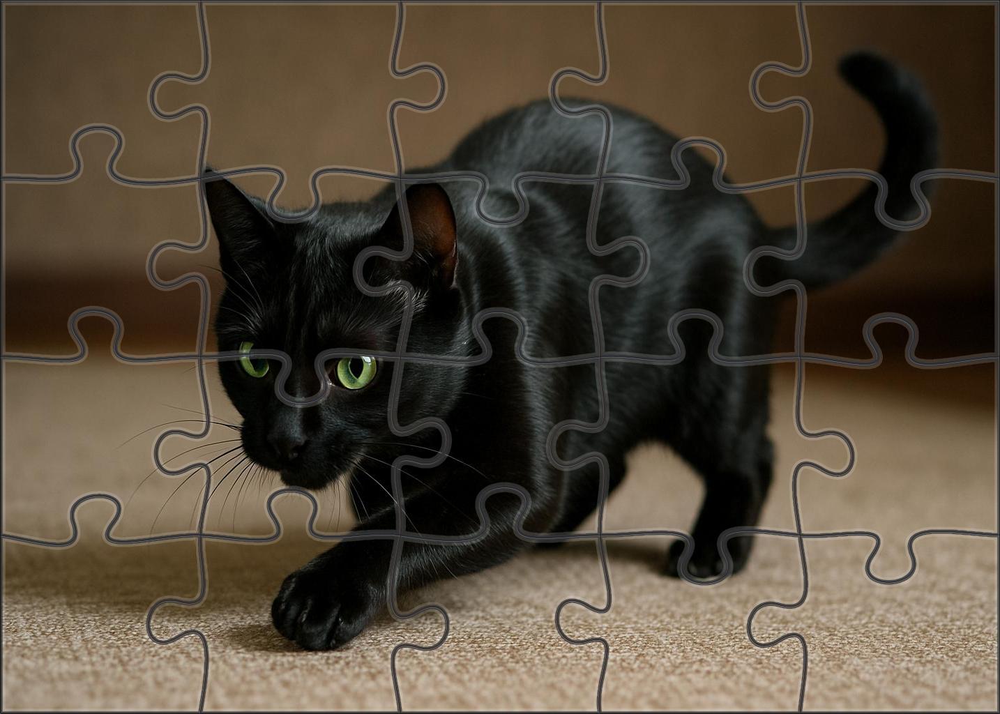 Cinder Flicker Sleek Black Shorthair With Expressive Eyes Mini Puzzle