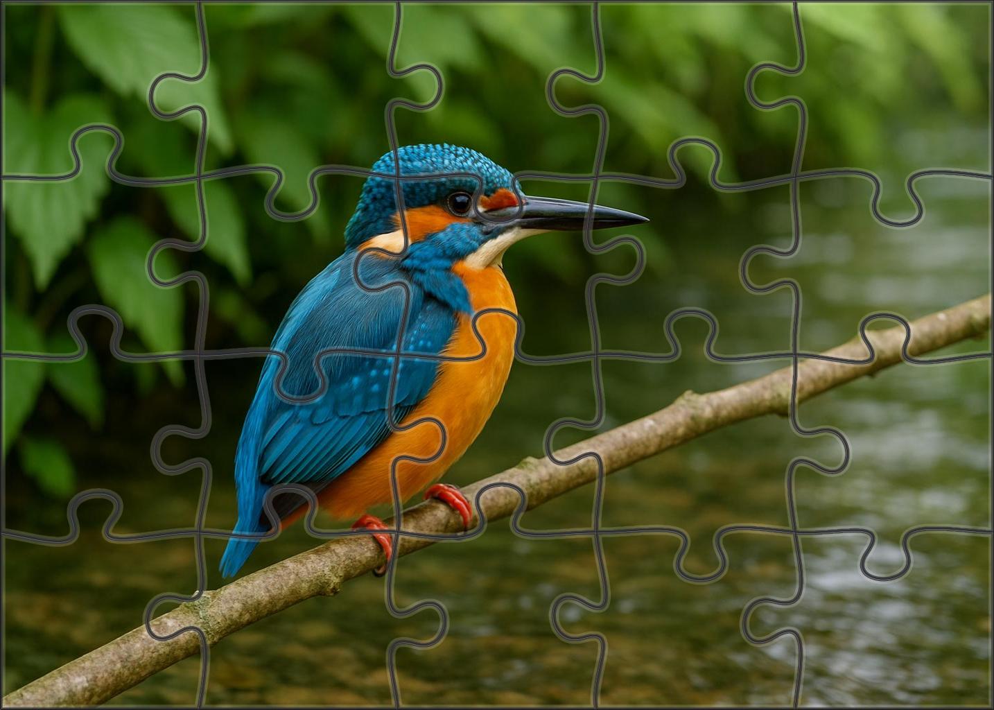 Azure Kingfisher Jewel Of The Rippling Streams Challenging Puzzles