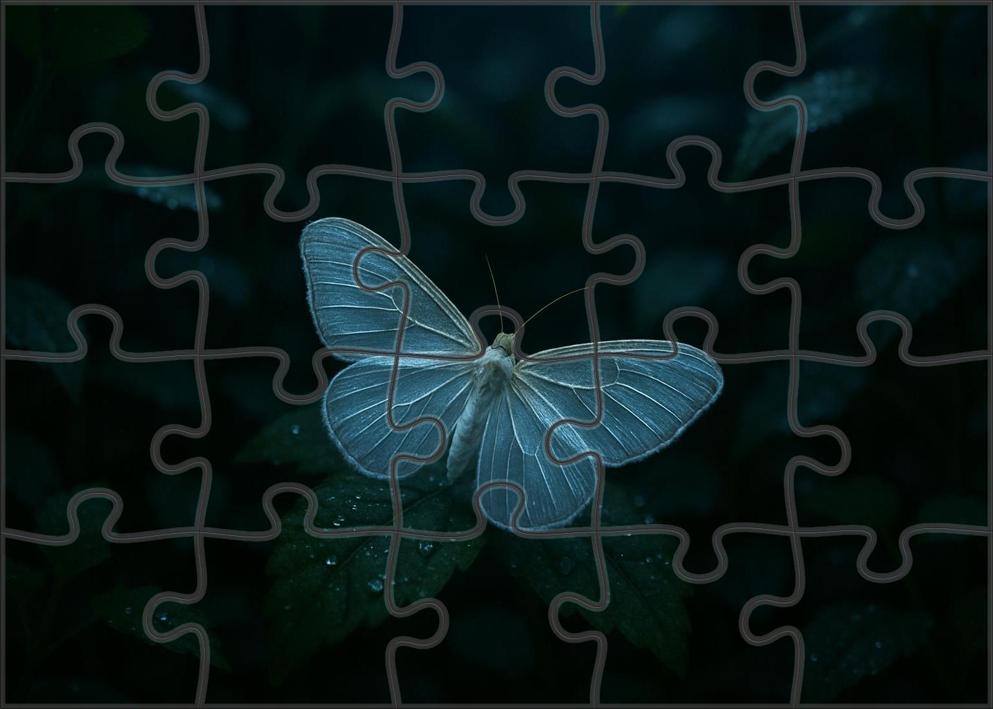 Opal Veil Moth Nocturnal Insect With Translucent Wings And Camouflage Puzzle Fun
