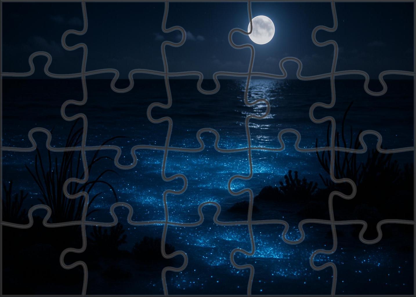 Moonshadow Lagoon Puzzle Challenge