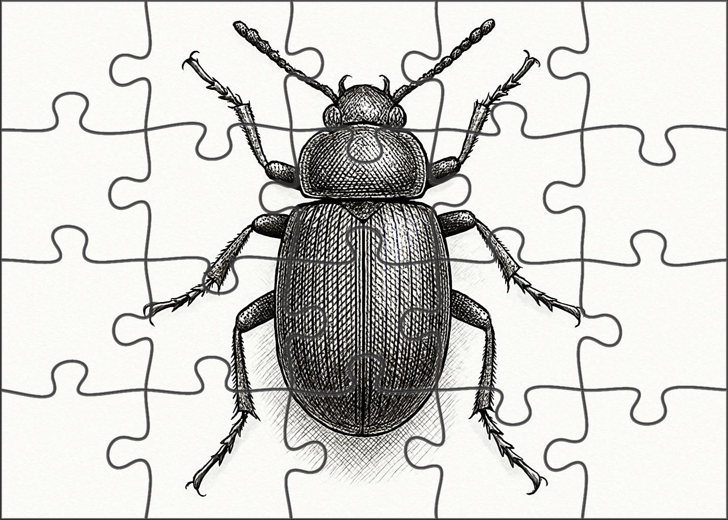 Delicate Insect Anatomy Detailed Pen And Ink Study Custom Jigsaw Puzzle