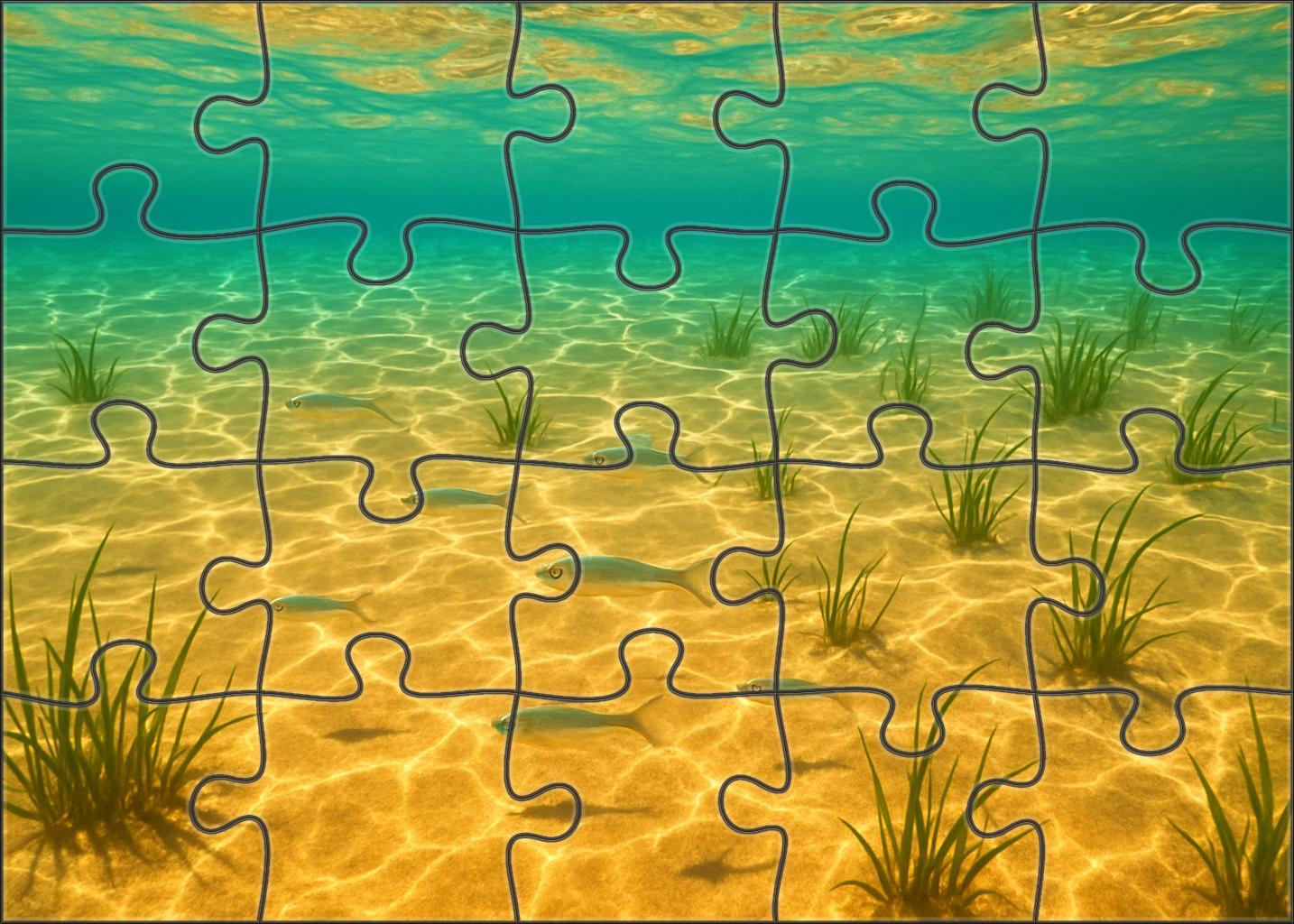 Golden Sandbar Drift Gentle Swells Over Sunlit Shallow Bottom 20 Piece Puzzle