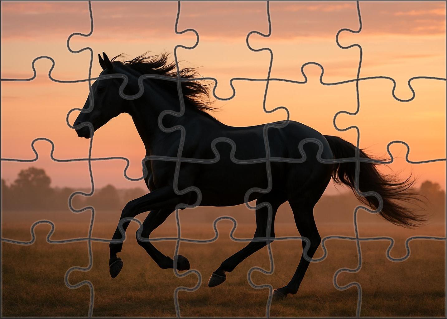 Midnight Ember Sleek Black Thoroughbred With Endurance Potential Challenging Puzzles