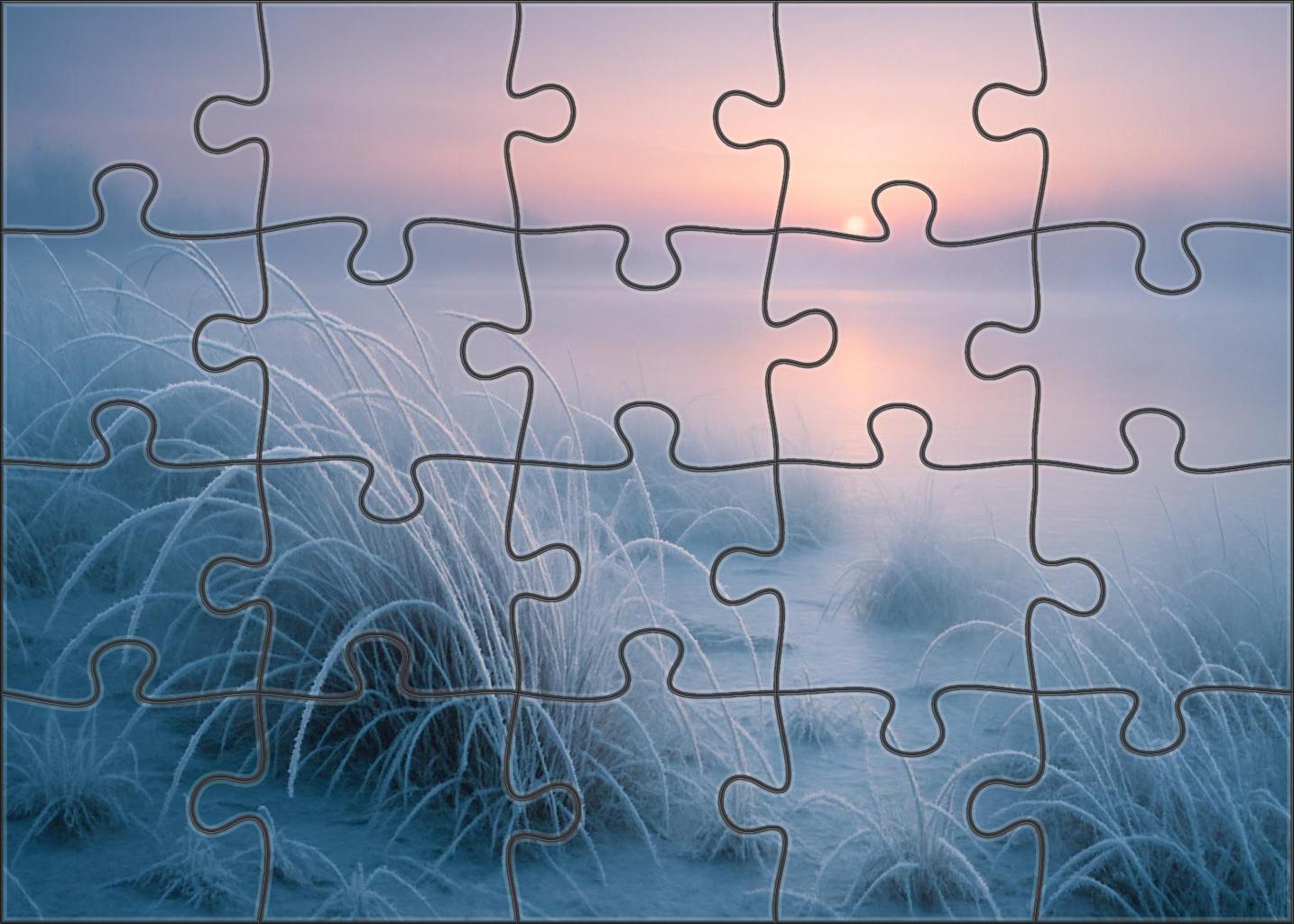 Silent Frosted Marsh Challenging Puzzles
