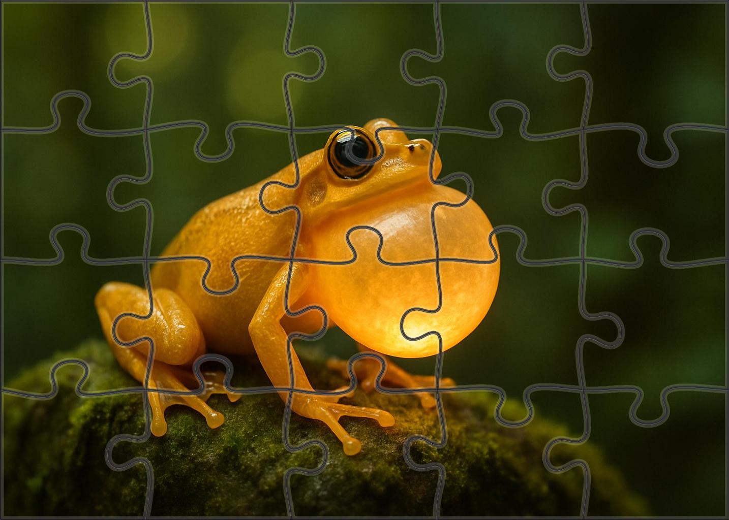 Golden Crest Hopper Vibrant Amphibian With Inflated Vocal Sac Puzzle Collection