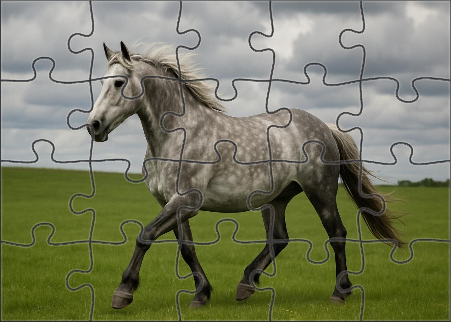 Silver Dapple Sleek Mottled Coat Herding Dog With Steady Gaze Puzzle Collection