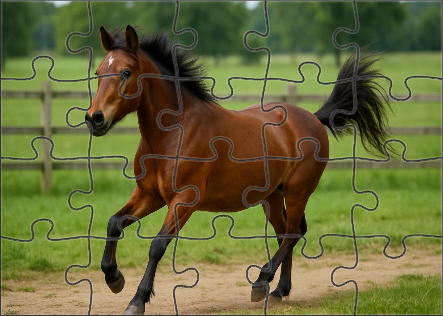 Storm Ridge Pony Compact Bay With Spirited Attitude 500 Piece Puzzle