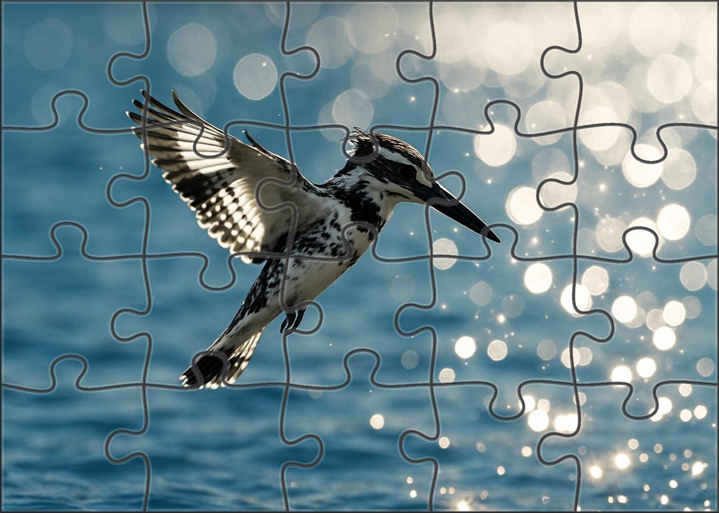 Pied Kingfisher Hovering Fisher Puzzle Fun