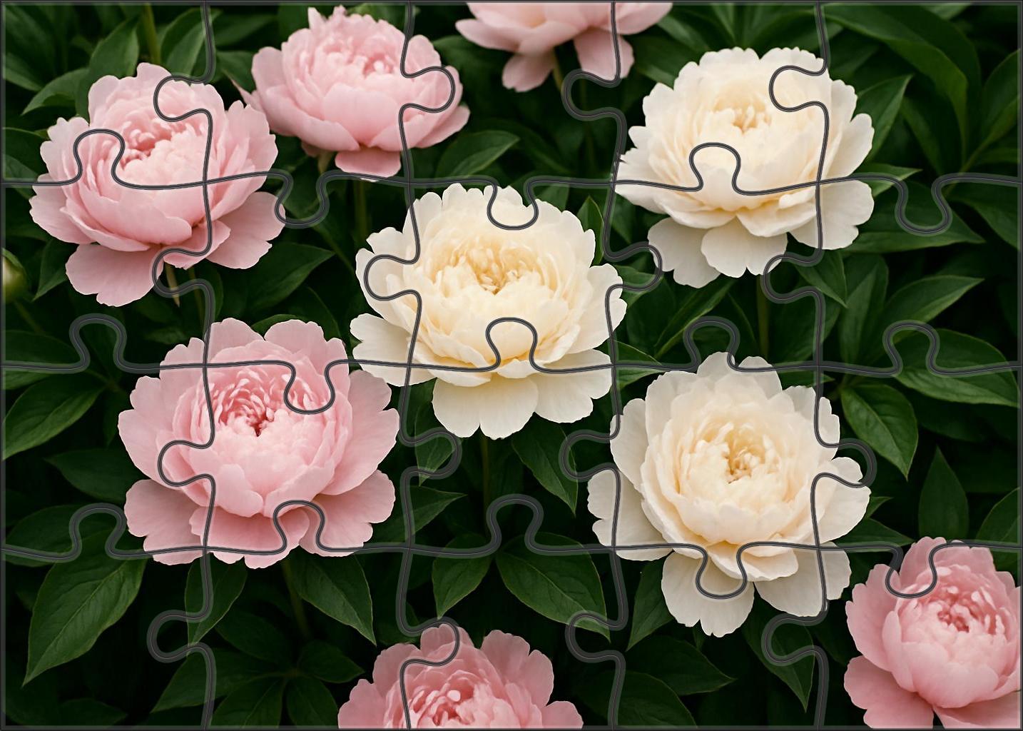 Blushing Peony Haven Family Puzzles