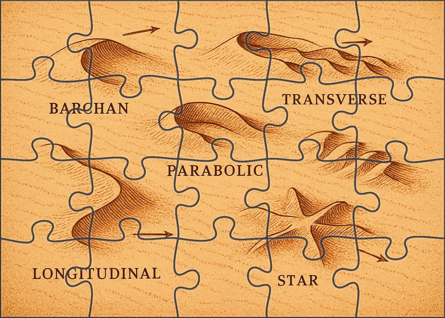 Desert Dune Morphology Pattern Map 50 Piece Puzzle