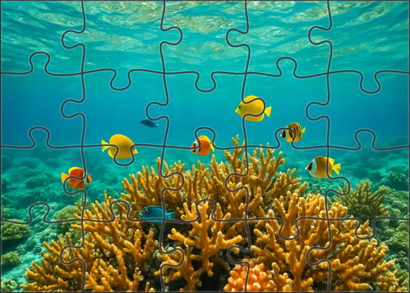 Coral Lagoon Wonder 50 Piece Puzzle