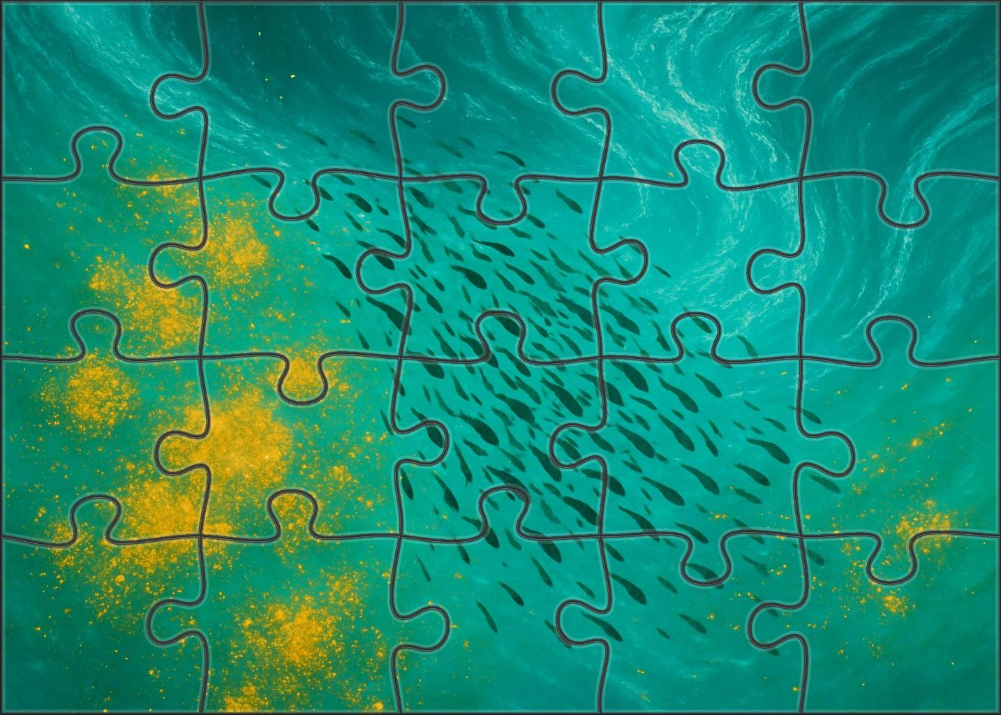 Nutrient-rich Upwelling Front Puzzle Fun