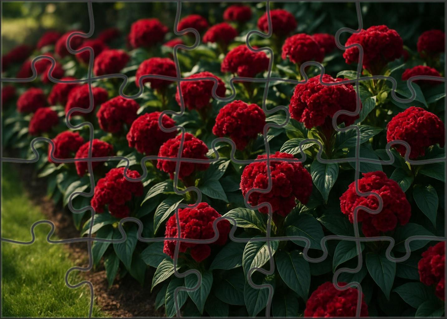 Crimson Velvet Accent Border 200 Piece Puzzle
