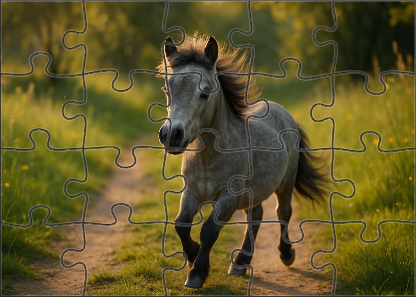 Silver Lining Pony Agile Gray With Playful Spirit Challenging Puzzles