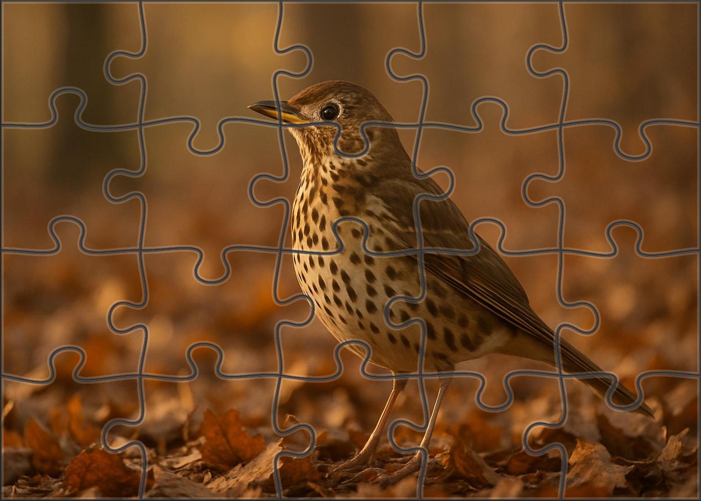 Dusky Thrush Autumn's Melancholy Songster Easy Puzzles