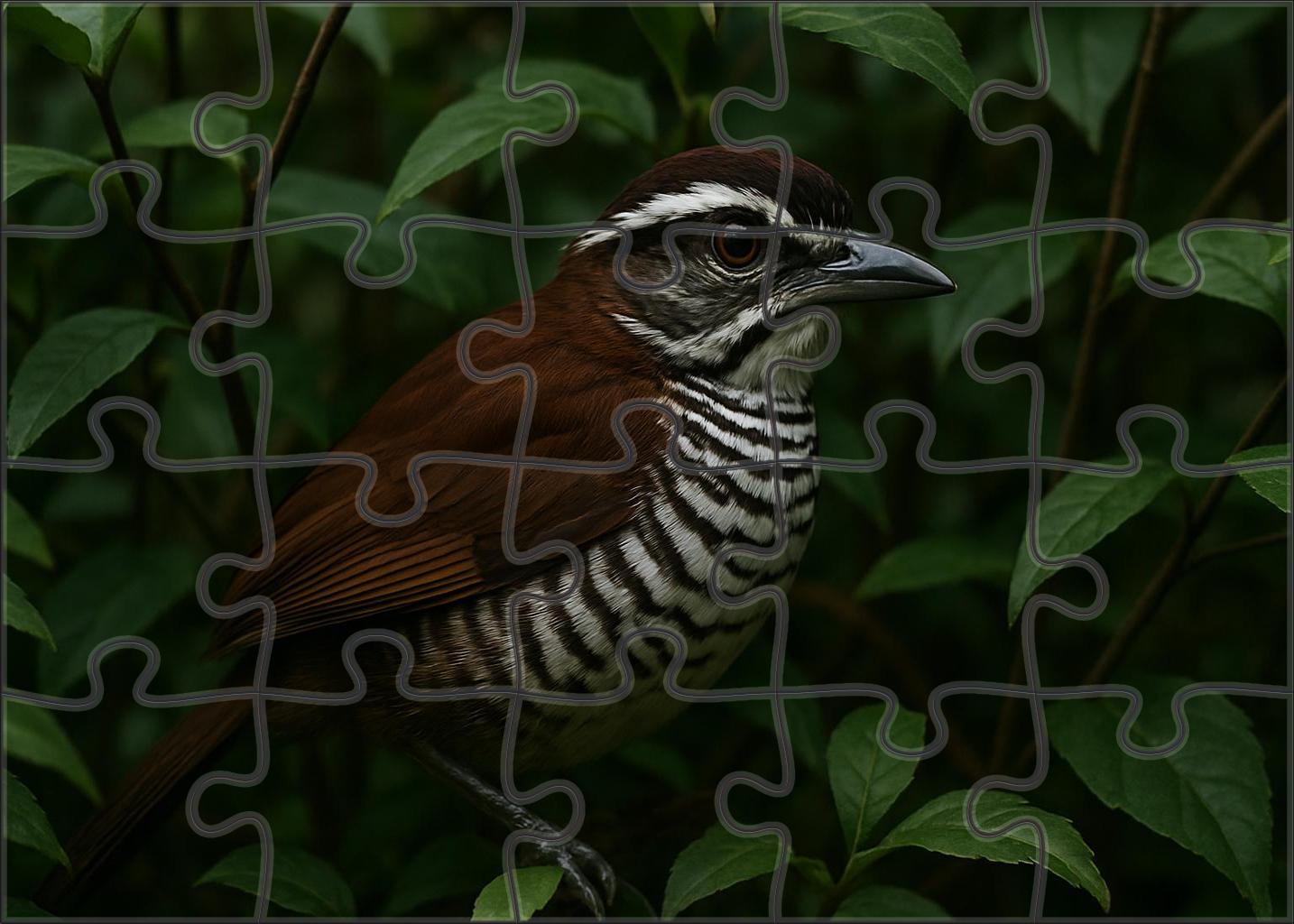 White-striped Puffbird Forests Patient Ambusher Challenging Puzzles
