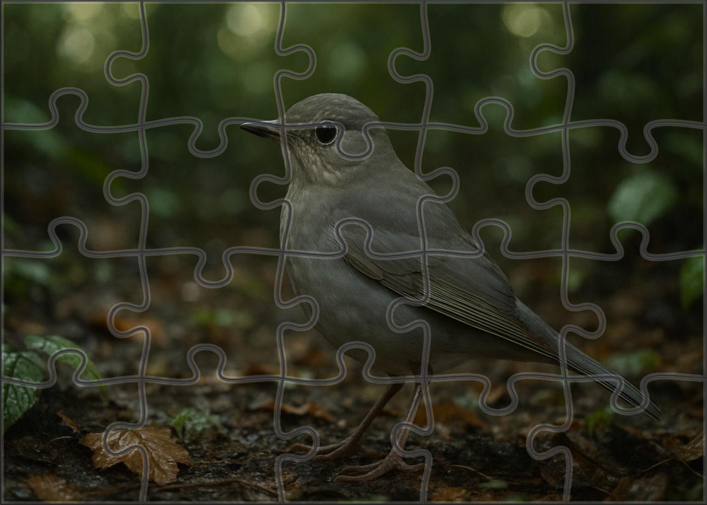 Sooty Thrush Forest Floor Forager 50 Piece Puzzle