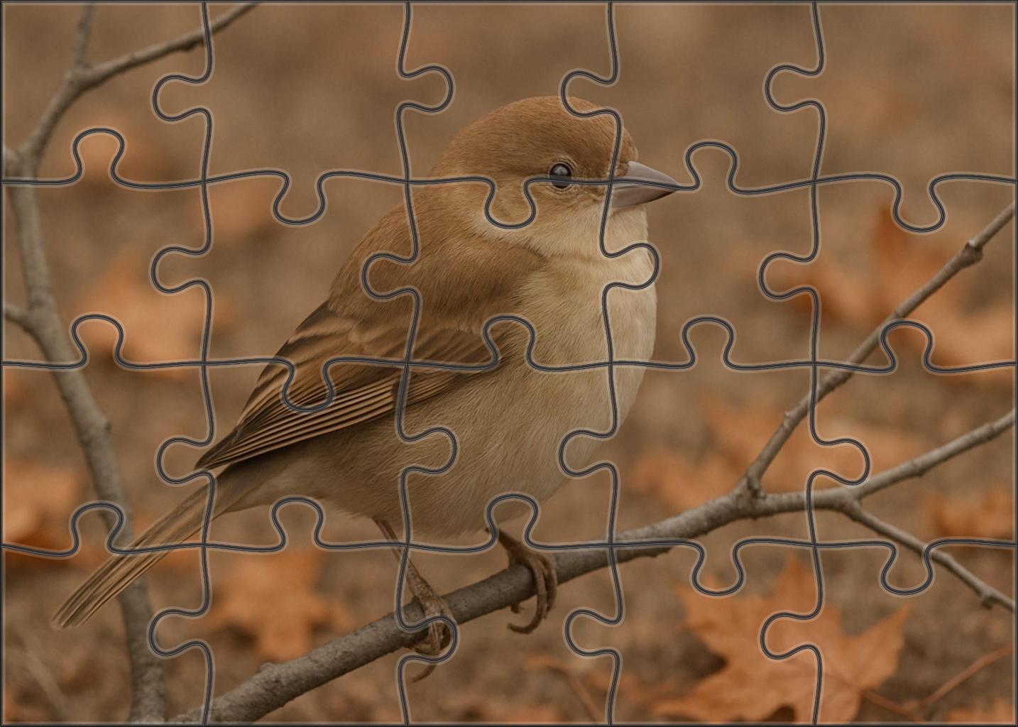 Dusky Thrush Melodic Visitor Of Cool Seasons Challenging Puzzles