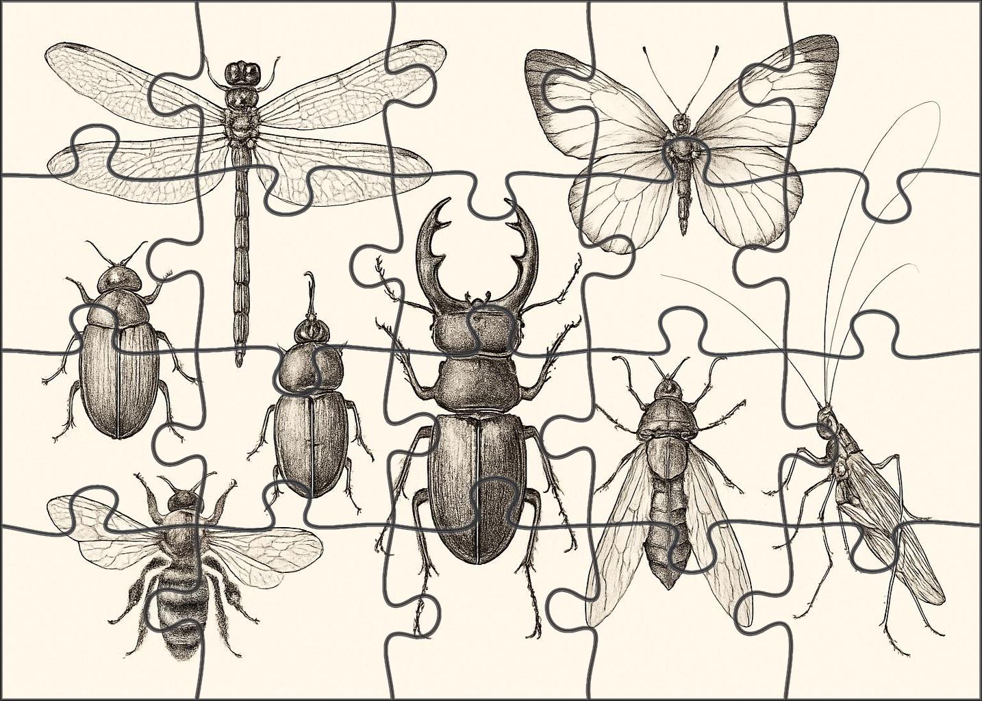 Whimsical Insect Parade Delicate Ink Line Drawing Of Forest Bugs 20 Piece Puzzle