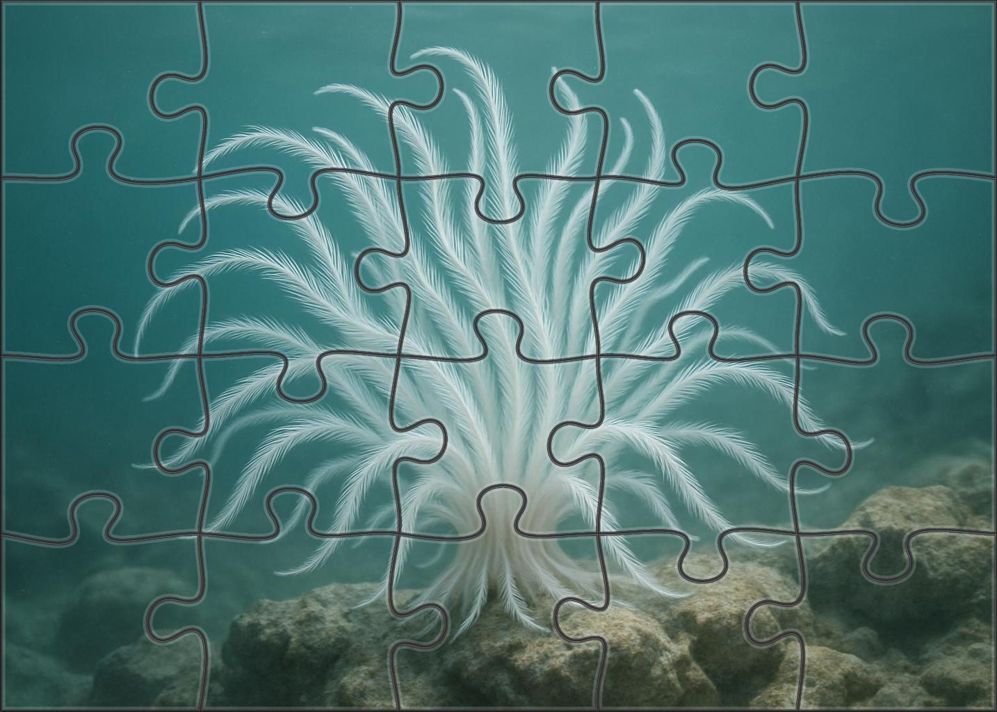 Ivory Feather Star Elegant Suspension Filter-feeder Family Puzzles