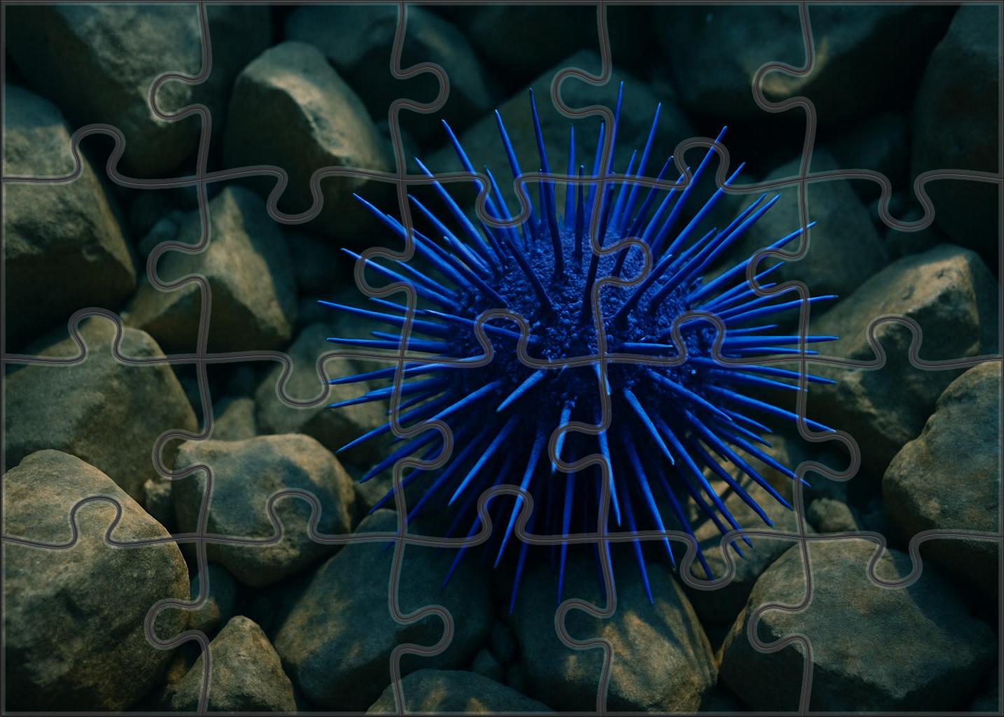 Azure Spine Urchin 20 Piece Puzzle
