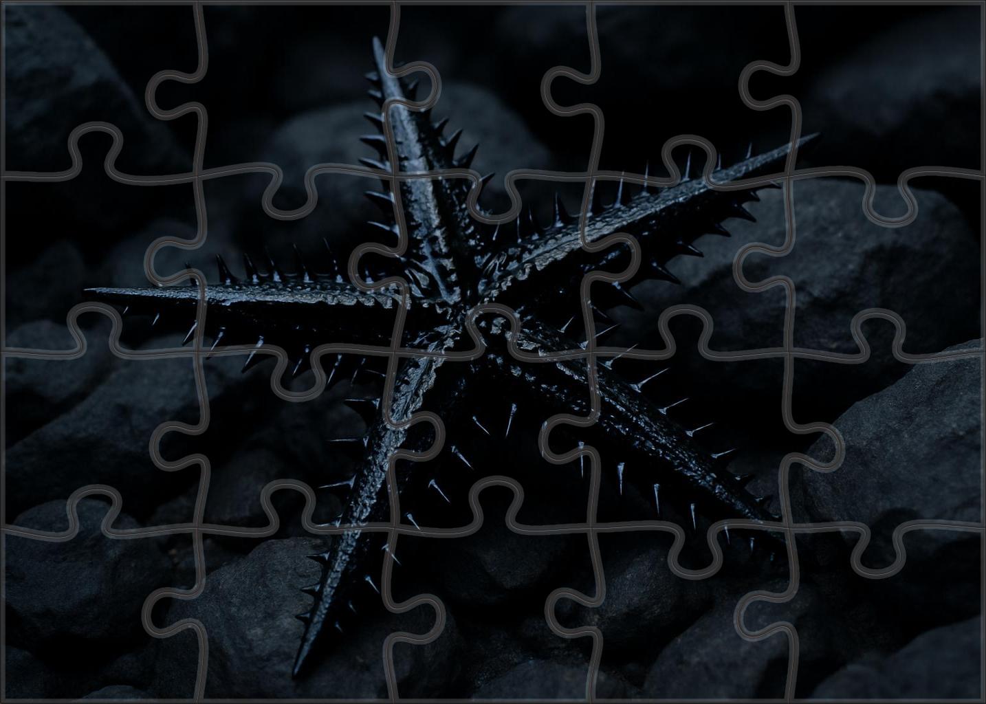 Obsidian Spiny Star Blackened Echinoderm With Sharp Defensive Rays 200 Piece Puzzle